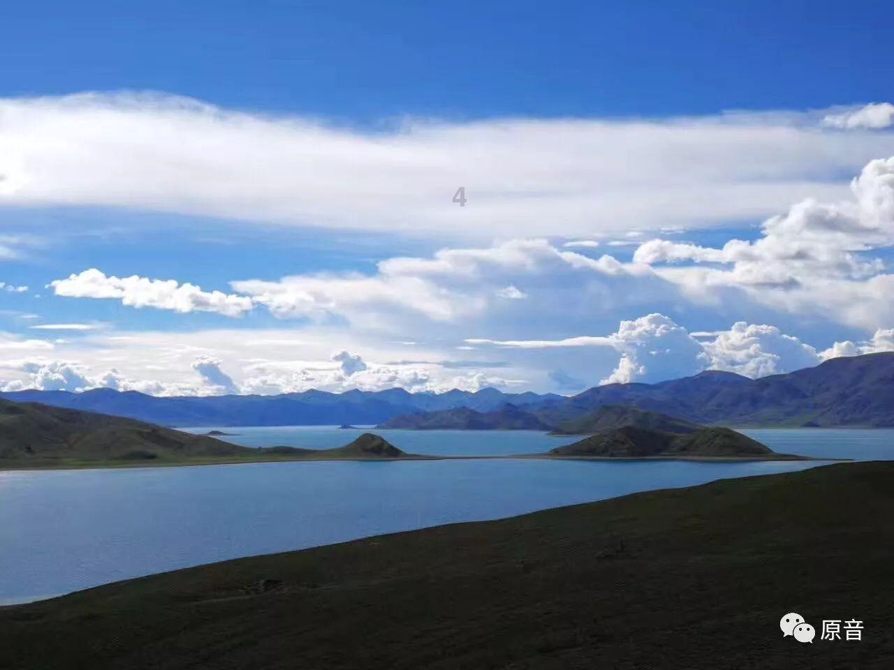 虫虫助手下载